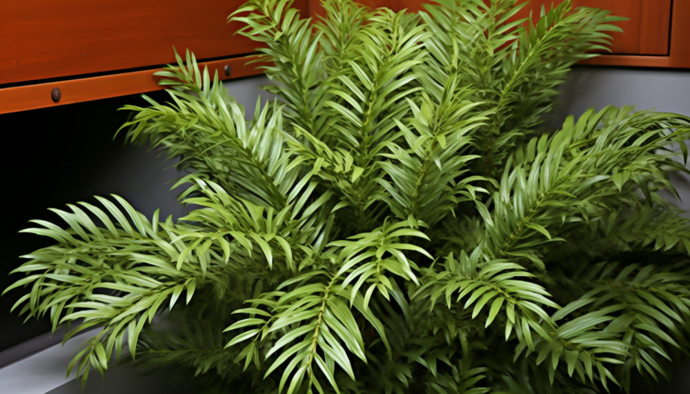 Pourquoi installer un sauna chez soi ?